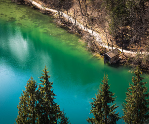 Natural green - Klamsee, Austria
